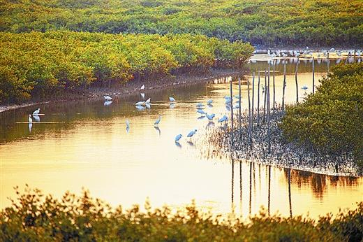 �����t��(sh��)�� ����������