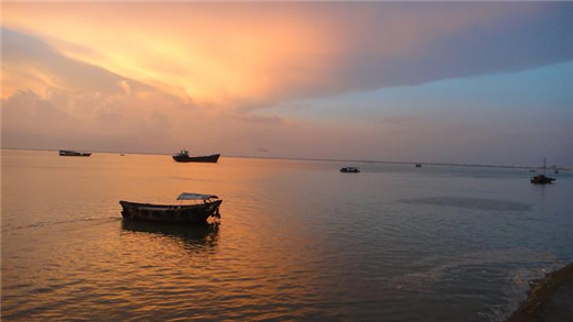 ���ލu �������ξW