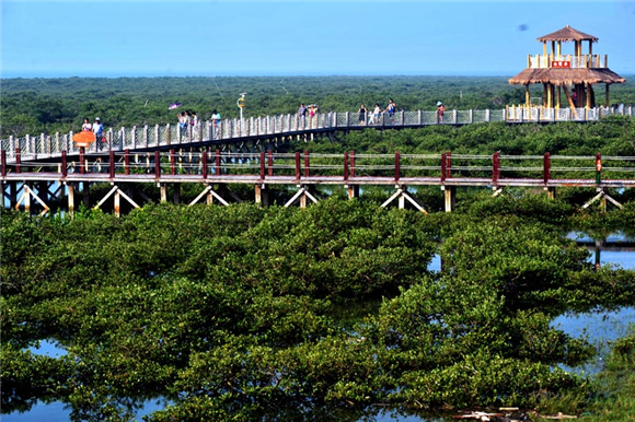 �t��(sh��)�� ��������