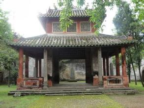 ����ͤ������������