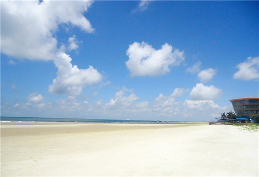 �����y�� �V������������