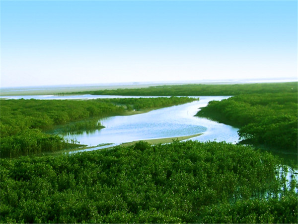 �t���� �������ξW(w��ng)