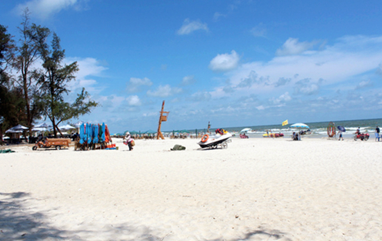 �����y�� �V���������ξW(w��ng)