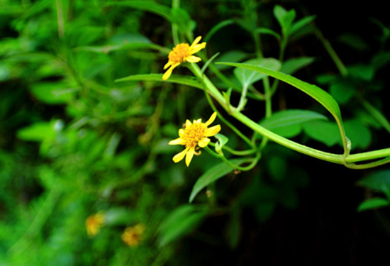 Ұ�� �V������������