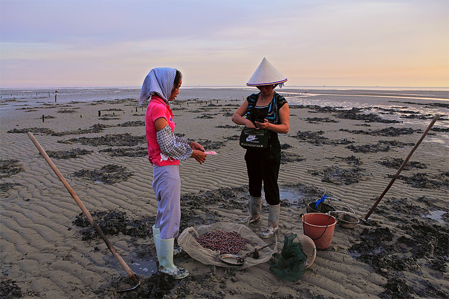 �V������������ �V���������ξW(w��ng)