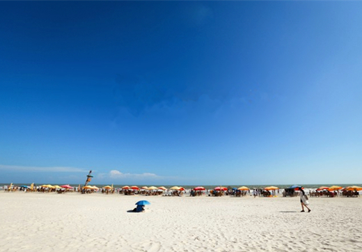 �V������������ �����y��