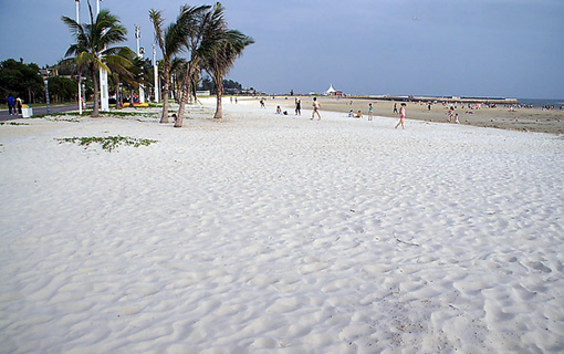 �V������������ �����y��