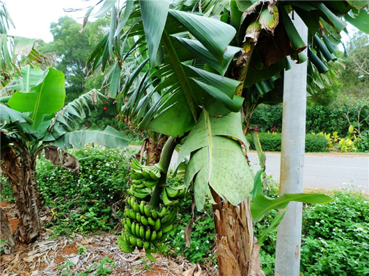 �V������������ ���ލu���ι���