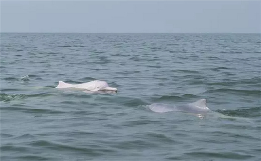 �V������������ ����