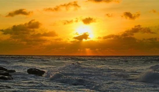 �V������������ ���ލu