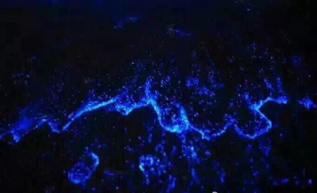 �������� ���ލu �V������������