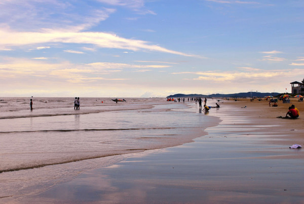 �V������������ ��(��i)�ϱ���