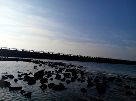 �V������������ ��(��i)�ϱ���