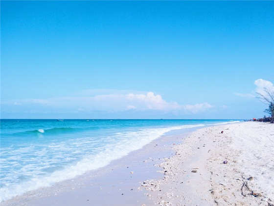 �V������������ ��(��i)�ϱ���