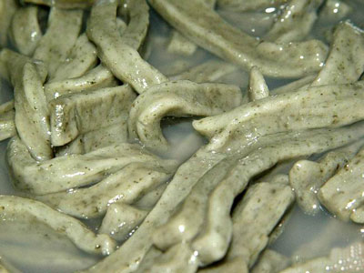  �V������������ ����������