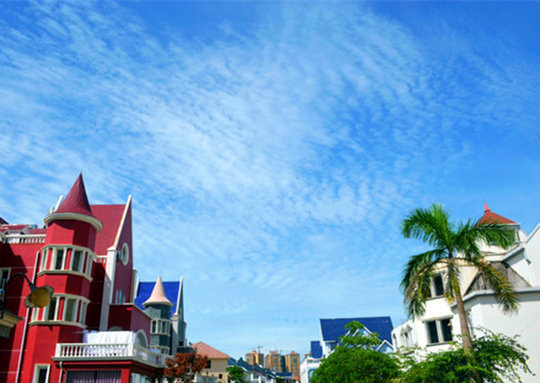 �����������V���������ξW(w��ng)