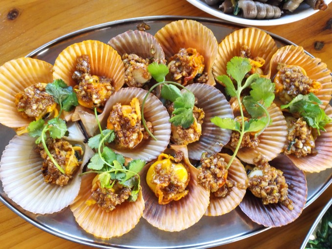 �����������V���������ξW(w��ng)