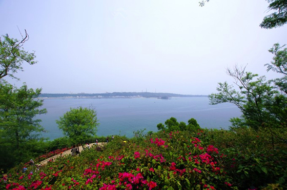 �����������V���������ξW(w��ng)