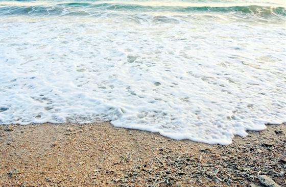 �����������V���������ξW(w��ng)