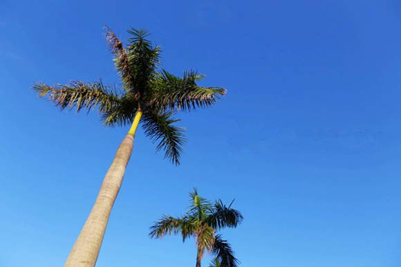 �������Σ��V������������