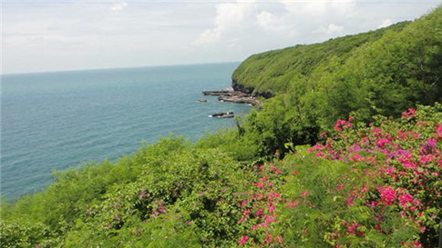 �����������V������������