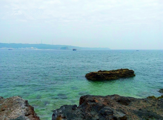 �����������V������������