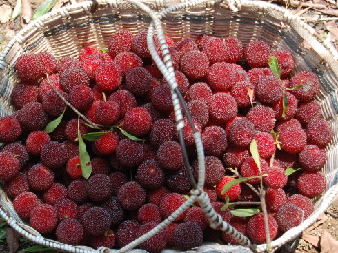 �����������V������������