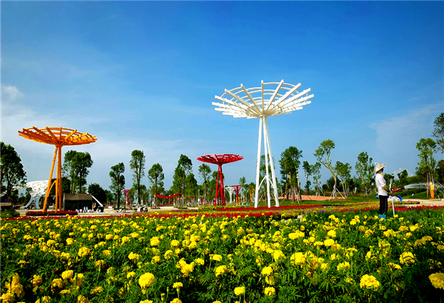 �����������V������������