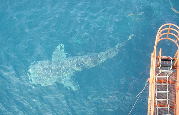 �V������������