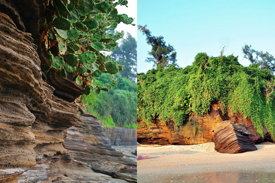 �����������V������������