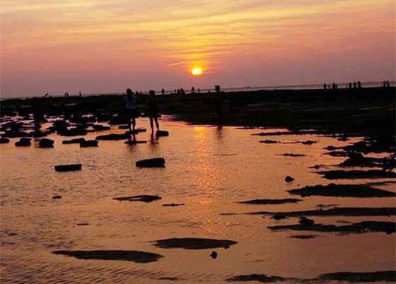 �������ލu���V������������