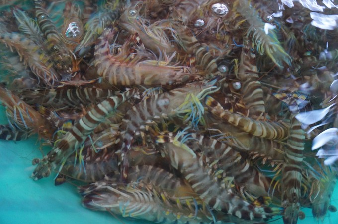 �������ލu���V������������