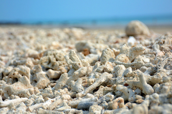 ���������ލu���V������������