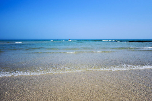 ���������ލu���V������������