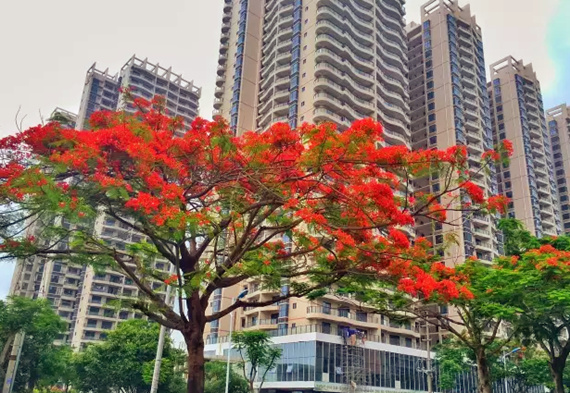 �����������V������������