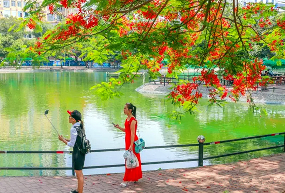 �����������V������������