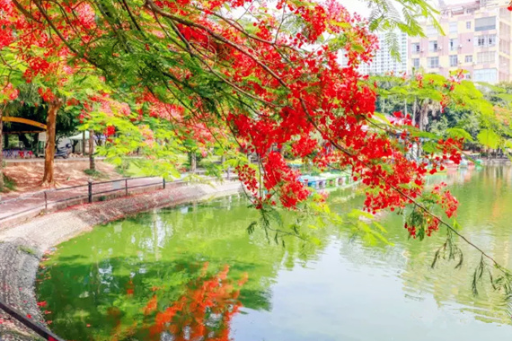 �����������V������������