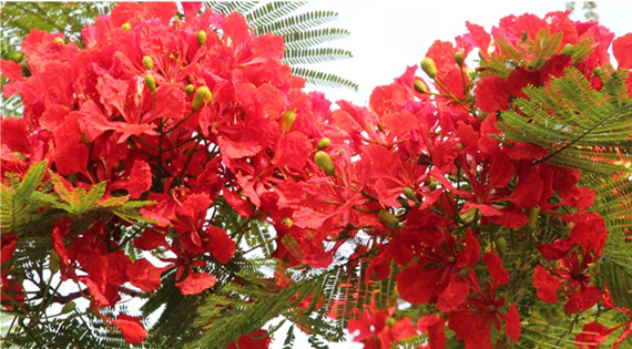 �������Σ��V������������