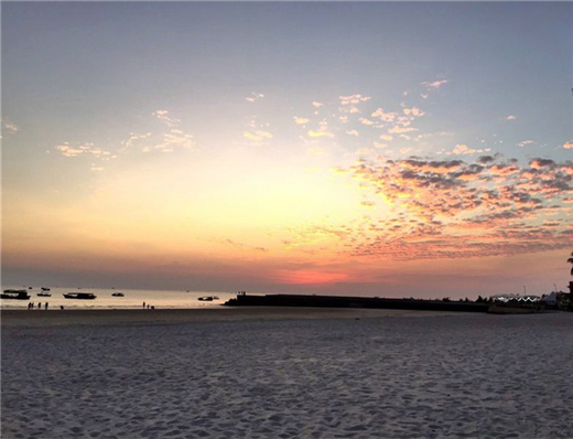 ���ލu�������V������������