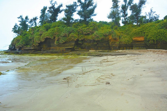 �������ލu���V������������