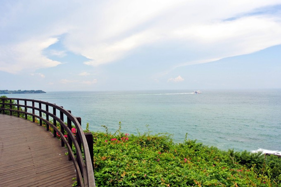 �������������ލu���V������������