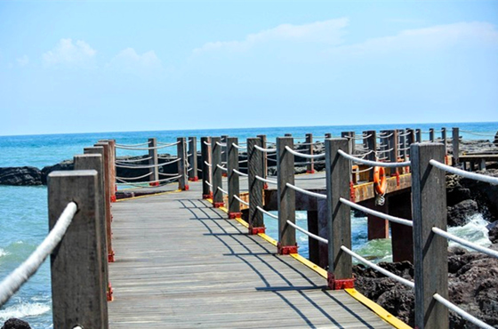 �������������ލu���V������������