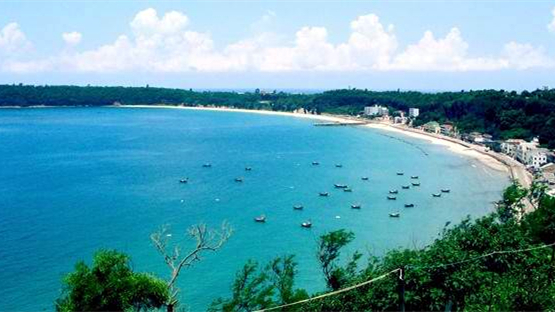 ���ލu�������������V������������