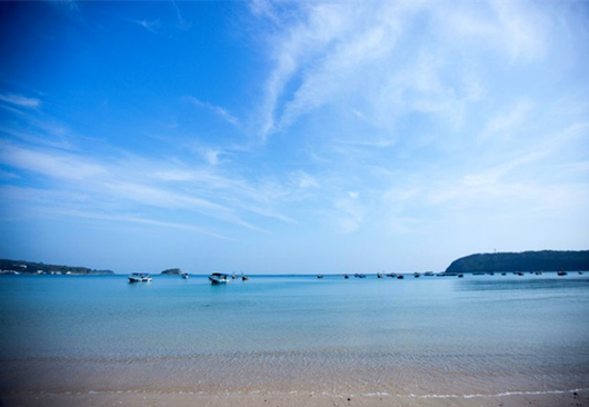 ���ލu�������������V������������