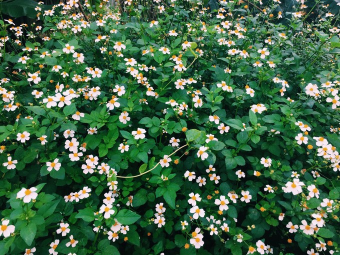 ���ލu���������Σ��V������������