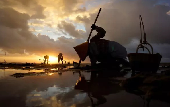 �����������V������������