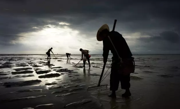 �����������V������������