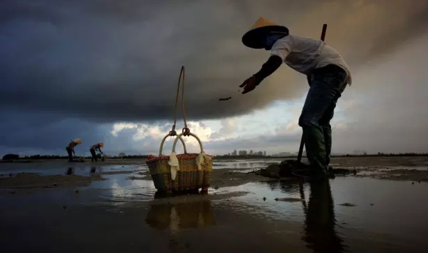 �����������V������������