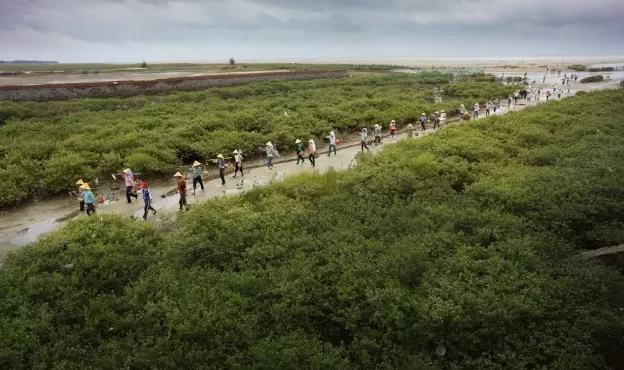 �����������V������������