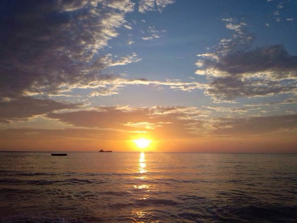 �����������V������������